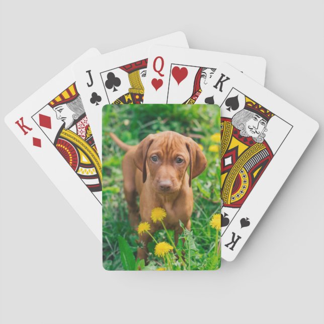Jeu De Cartes Animaux de bébés cutest | Pointeur (dos)