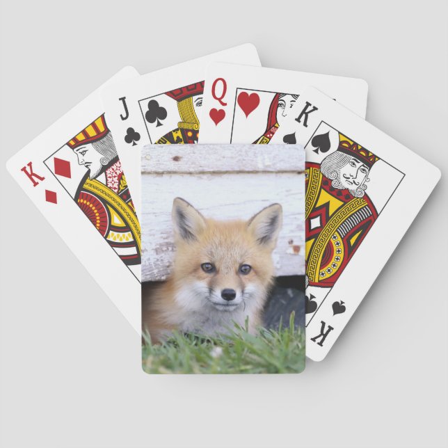 Jeu De Cartes Animaux de bébés cutest | Red Fox Kit Peeking (dos)