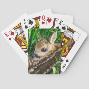 Jeu De Cartes Animaux de bébés cutest   Roe Deer Baby