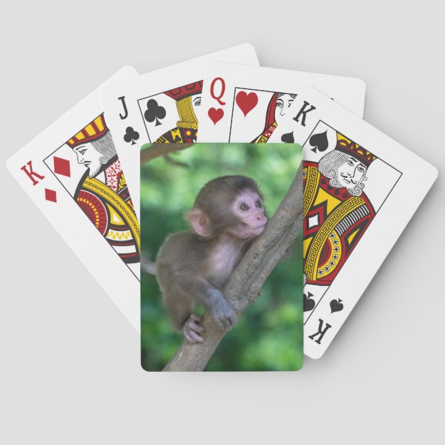 Jeu De Cartes Animaux de bébés cutest | Singe bébé (dos)