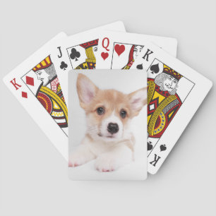 Jeu De Cartes Animaux de bébés cutest   Sweet Baby Corgi