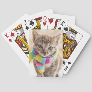 Jeu De Cartes Animaux de bébés cutest   Tabby Kitten Écharpe arc