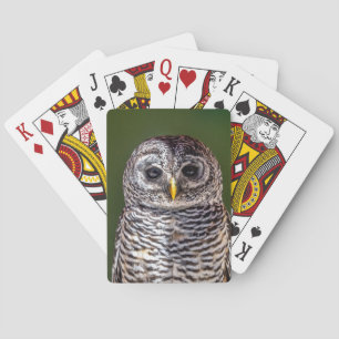 Jeu De Cartes Animaux de bébés cutest Tawny Owl