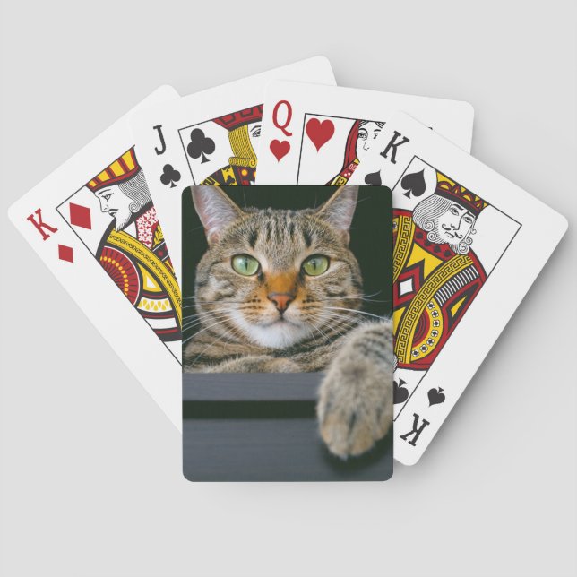Jeu De Cartes Animaux de bébés cutest | Tête de chat gris Tabby (dos)