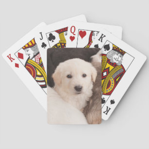 Jeu De Cartes Animaux de bébés cutest   Un mignon seau de chiots