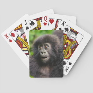 Jeu De Cartes Animaux de bébés cutest   Young Mountain Gorilla