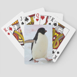 Jeu De Cartes Antarctique. Île Petermann. Manchot Adélie