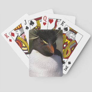 Jeu De Cartes Antarctique, îles sub-antarctiques, Sud 5