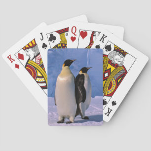 Jeu De Cartes Antarctique, Territoire antarctique australien, 7