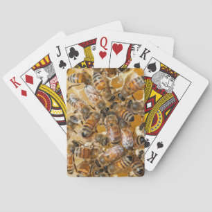 Jeu De Cartes Apiculture à Arlo's Honey Farm