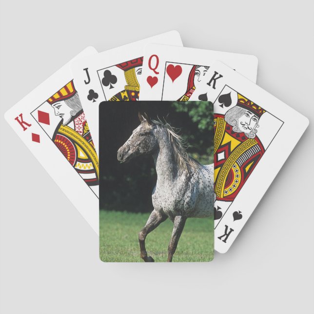 Jeu De Cartes Appaloosa Horse en course 2 (dos)
