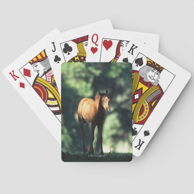 Jeu De Cartes Arab Foal in the Trees (dos)