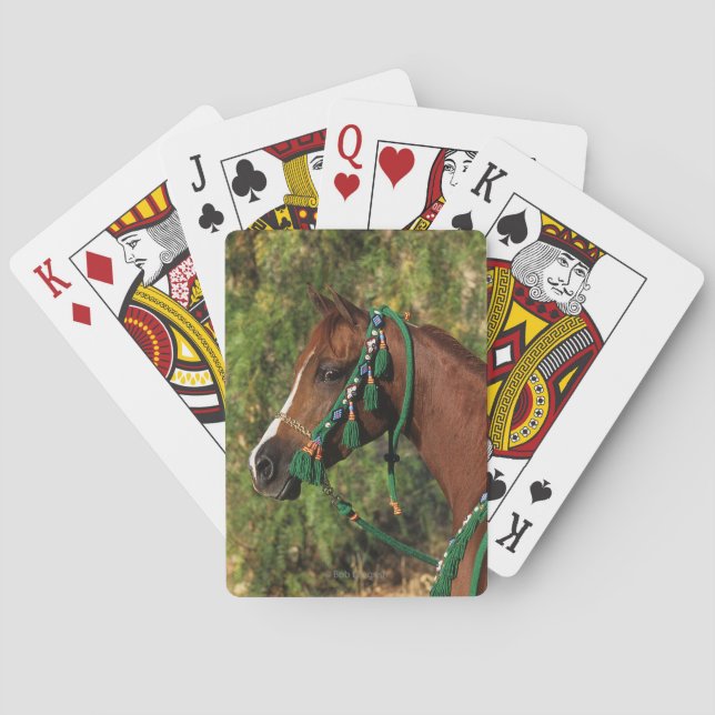 Jeu De Cartes Arab Horse Headshot (dos)
