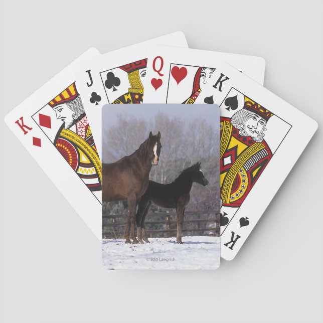 Jeu De Cartes Arab Mare & Foal in Snow (dos)