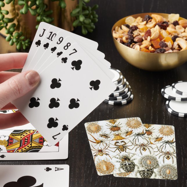 Jeu De Cartes Araignées ou arachnides vintage par Ernst Haeckel (In Situ)