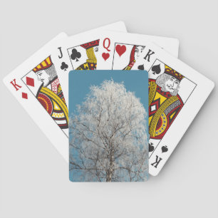 Jeu De Cartes Arbre blanc contre ciel bleu sans nuages