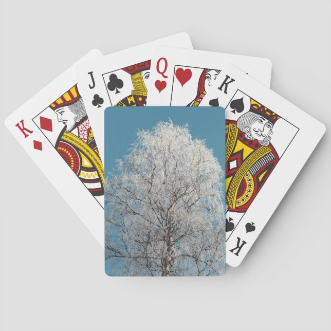 Jeu De Cartes Arbre blanc contre ciel bleu sans nuages (dos)