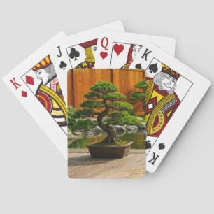 Jeu De Cartes Arbre Bonsaï du Dragon de l'Équilibre