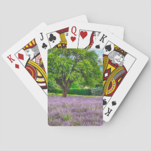 Jeu De Cartes Arbre dans un champ de lavande, France
