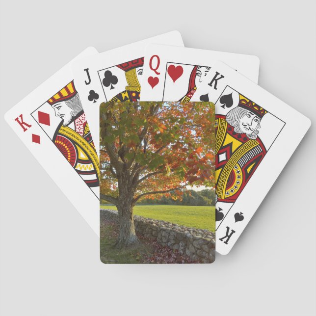 Jeu De Cartes Arbre d'automne à mur de pierre Jouer des cartes (dos)