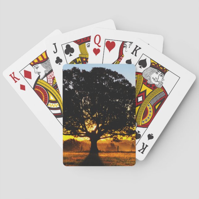 Jeu De Cartes Arbre pendant le matin (dos)