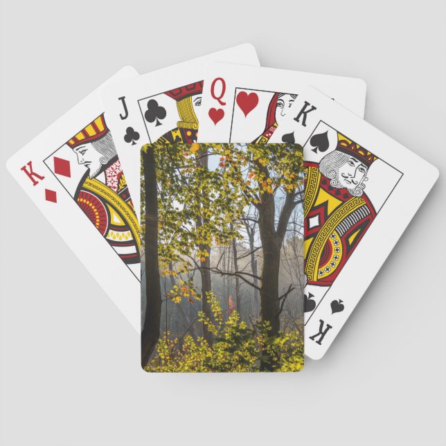 Jeu De Cartes Arbres dans les cartes de jeu de brouillard (dos)