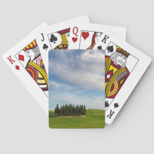 Jeu De Cartes Arbres de Cypress dans le paquet de cartes de