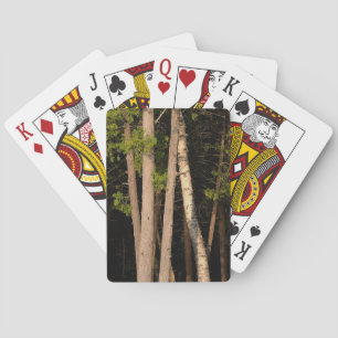 Jeu De Cartes Arbres forestiers d'une heure d'or