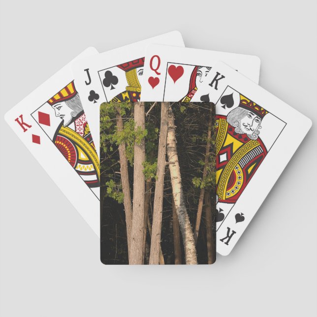 Jeu De Cartes Arbres forestiers d'une heure d'or (dos)
