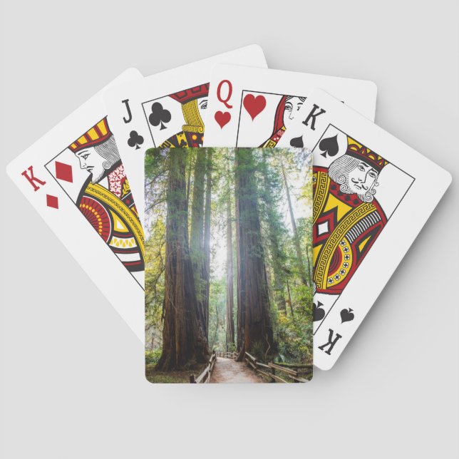 Jeu De Cartes Arbres grands (dos)