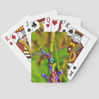 Jeu De Cartes Arc en ciel libellule et fleur