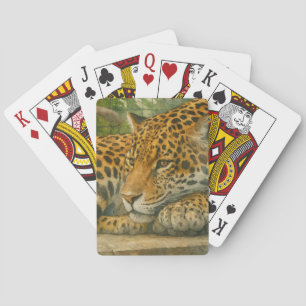 Jeu De Cartes Ardoise dorée - Leopard reposant en feuillage