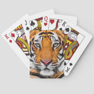 Jeu De Cartes Arrière - plan Tiger Face