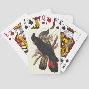 Jeu De Cartes Art vintage de cacatoès à queue rouge de John Goul