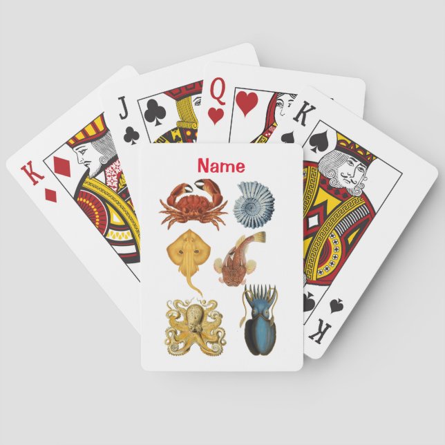Jeu De Cartes Association d'apaces de mer uniques Thunder_Cove (dos)
