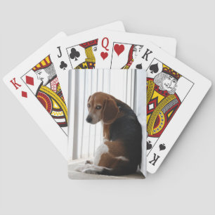 Jeu De Cartes attitude beagle