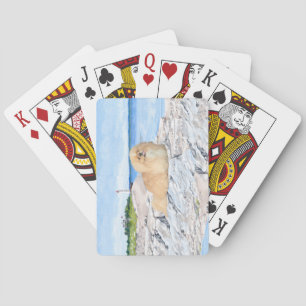 Jeu De Cartes Au phare
