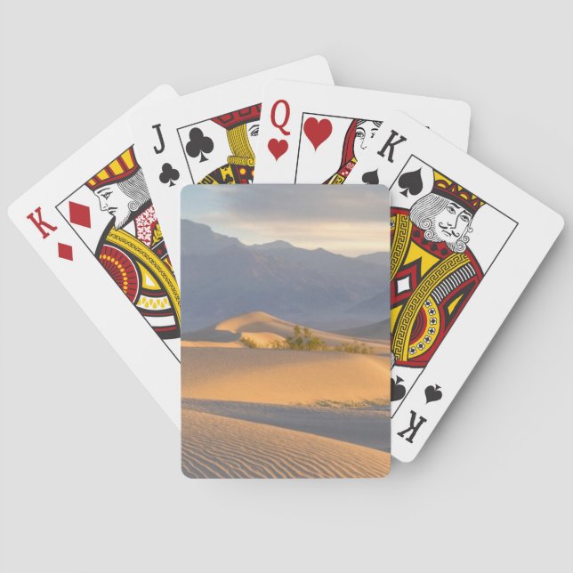 Jeu De Cartes Aube de désert (dos)