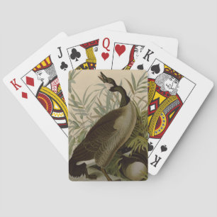 Jeu De Cartes Audubon Canada Oies Oiseaux sauvages
