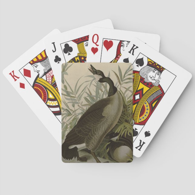 Jeu De Cartes Audubon Canada Oies Oiseaux sauvages (dos)