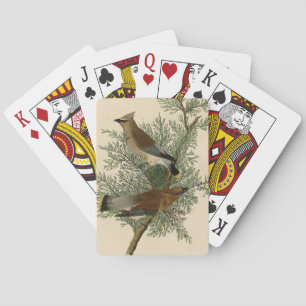 Jeu De Cartes Audubon Cèdre cire oiseau