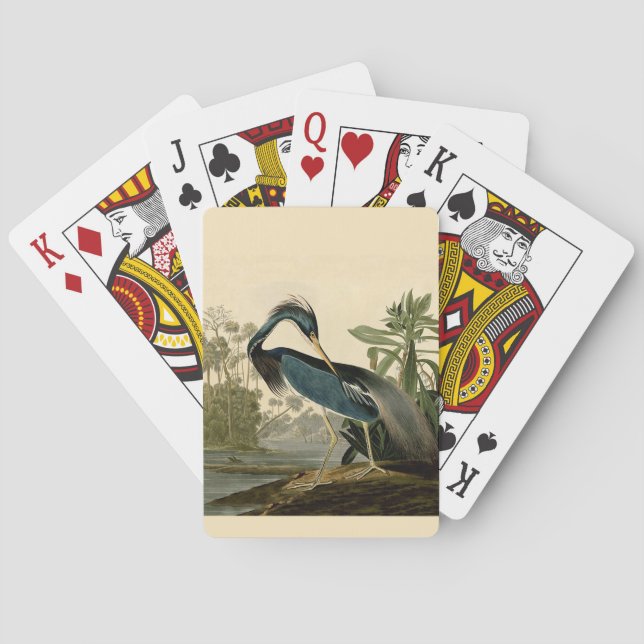 Jeu De Cartes Audubon Louisiana Heron Birds America Art (dos)
