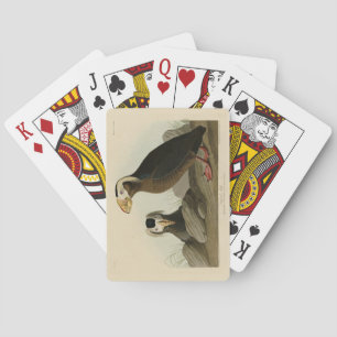 Jeu De Cartes Audubon (Puffin) - Audubon's Birds of America