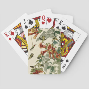 Jeu De Cartes Audubon Throsé de colibri