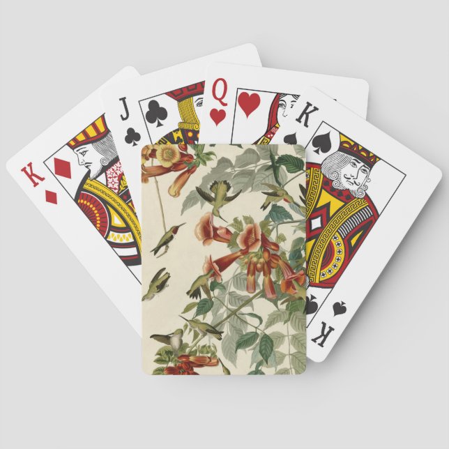 Jeu De Cartes Audubon Throsé de colibri (dos)