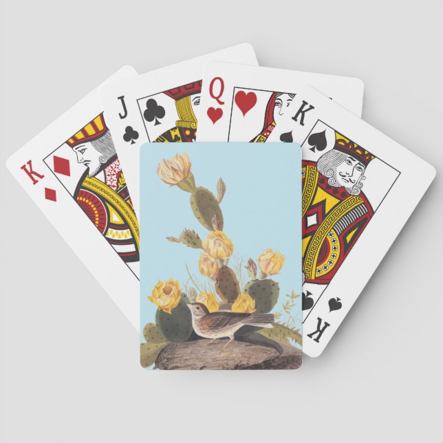 Jeu De Cartes Audubon Vesper Sparrow et Prickly Pear Cactus (dos)