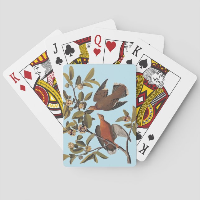 Jeu De Cartes Audubon Zenaida Dove avec fleurs (dos)