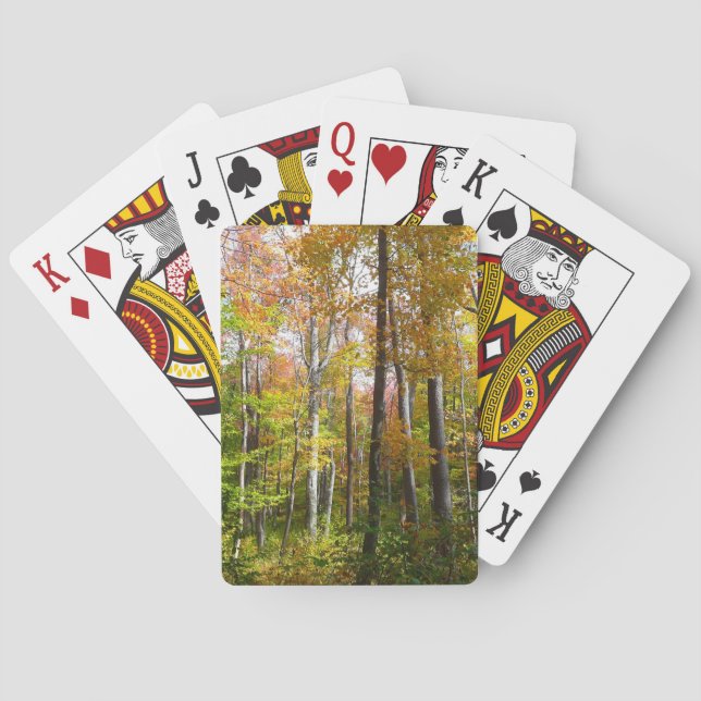 Jeu De Cartes Automne Forêt I Automne Paysage Photographie (dos)
