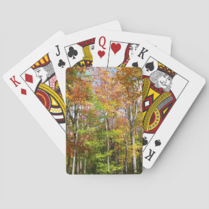 Jeu De Cartes Automne Forêt II Automne Paysage Photographie