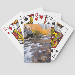Jeu De Cartes Automne le long de Bishop Creek, CA